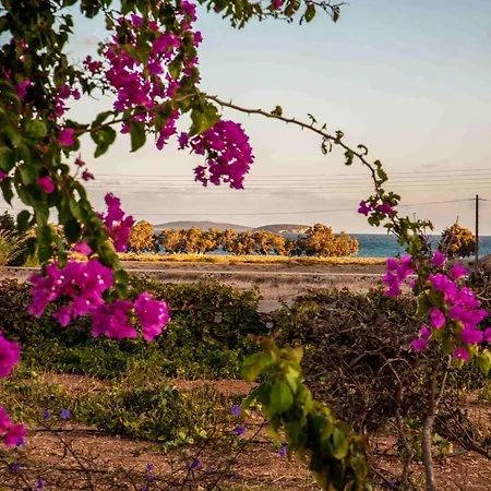 Gasthof Statheros Garden