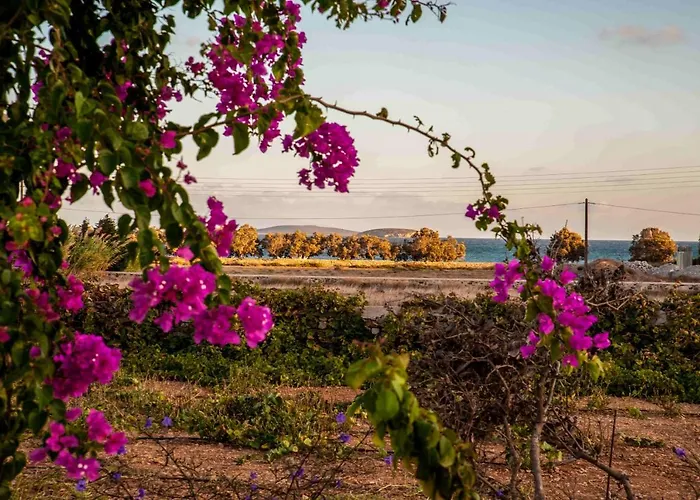 Konukevi Statheros Garden